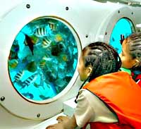 Подводный мир Индонезии. Экскурсии по океану на лодке с прозрачным дном