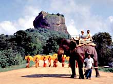 Шри-Ланка. Прогулки на слонах